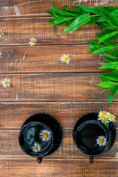 Dvě černé čaje s heřmánku — Stock fotografie
