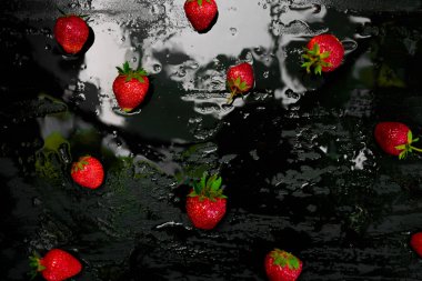 Summer fruit food frame. Summer inscription