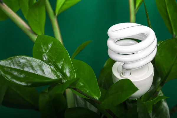 LED-lamp met groen blad, eco-energieconcept, close-up. Gloeilamp op de achtergrond. Besparing en ecologische omgeving. Ruimte kopiëren. Stockfoto
