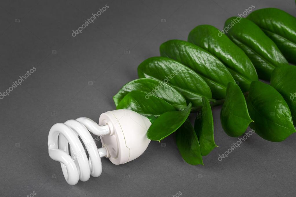 Feuille Avec ConceptBouchentAmpoule Lampe VerteÉco Led Énergie TcuJFKl13
