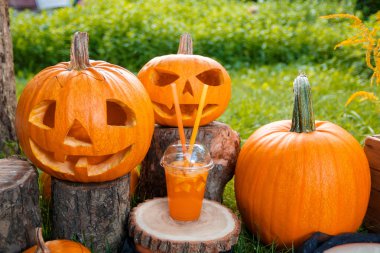 Halloween pumpkins dekorasyon zemin üzerine yakınındaki kokteyl. Bir partisi için kokteyl. Jack-o-Lantern. 