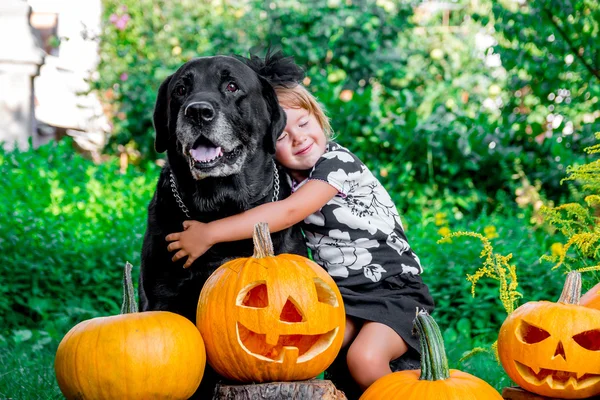Cadılar Bayramı. Çocuk Siyah labrador yakınındaki arasında jack-o-lantern dekorasyon, oyun ya da şeker giysili. Ahşap açık havada köpek kabak ile küçük kız. Aşk