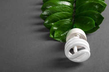 Yeşil yaprak, eko enerji kavramı, LED Lamba kapatın. Gri arka plan üzerinde ampul. Kaydetme ve ekolojik çevre. Kopya alanı.