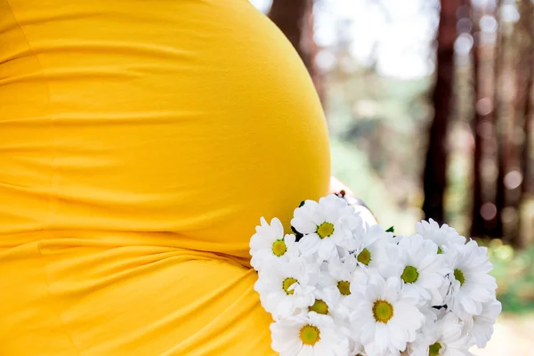 Tutup pada perut wanita hamil, mengenakan gaun kuning, memegang tangan bunga chamomile bunga luar ruangan, konsep kehidupan baru — Stok Foto