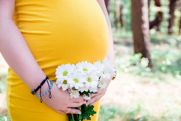 Primer plano en la barriga de la mujer embarazada, usando vestido amarillo, sosteniendo en las manos flores de manzanilla ramo al aire libre, nuevo concepto de vida —  Fotos de Stock