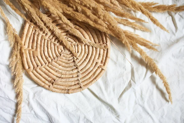 Flat Lay Beige Reeds Pampas Grass White Textile Linen Tablecloth — Stock Photo, Image