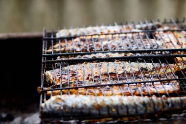 Izgara balık uskumrusu, açık hava akışında ızgarada pişirilmiş lezzetli ve taze yemek, piknik için açık hava eğlencesi. Bahçedeki barbekü Yazın evde. 