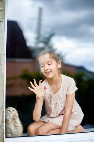 Dítě Dívka Hraje Britskou Malou Hravou Koťátko Doma Parapet Dívka — Stock fotografie