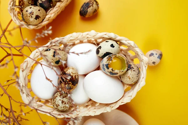 Easter Eggs Minimalistically Decorated Dry Flowers Yellow Background Top View — Stock Photo, Image