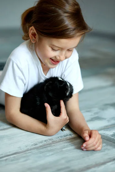 Child Playing Guinea Pig Stay Quarantine Time Kid Home Girl — Stock Photo, Image