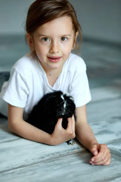 Child Playing Guinea Pig Stay Quarantine Time Kid Home Girl — Stock Photo, Image