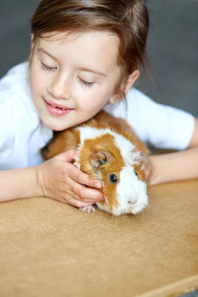 Portrait of happy smiling little girl hugging red guinea pig. Adorable little child with pet play, stay quarantine time kid home. — Stock Image Portrait Happy Smiling Little Girl Hugging Red Guinea Pig Adorable Stock Photo