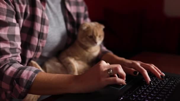 Kvinne Med Komfortabel Stil Jobber Med Svart Notisbok Laptop Katt – stockvideo