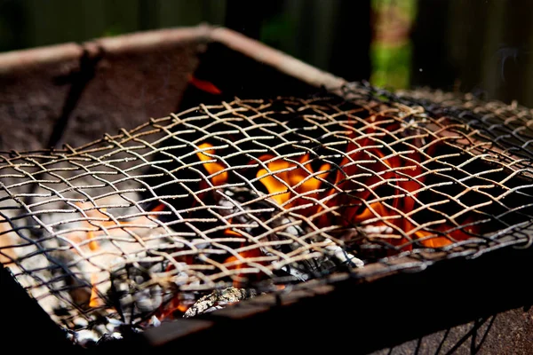 Grillowany Makrela Rybna Gotowane Grillu Plenerze Przepływu Smaczne Świeże Jedzenie — Zdjęcie stockowe