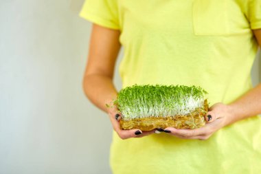 Kadın ellerinde mikroyeşil, sarı tişörtlü kadın çiğ lahanalar, mikroyeşiller, sağlıklı beslenme konsepti, evde garaj, vegan, sağlıklı yiyecekler, süper yiyecekler.