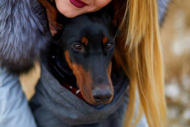 Tanımlanamayan genç bir kadın dışarıda köpek dobermanına sarılıyor, Dostluk. Kapat..