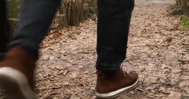 カップルのブーツの旅行者は 木の中を歩くと 認識できない家族がアクティブな冒険の休暇 女性と男性の愛を旅行し 幸せな感情 ロマンチックなデート Wanderlist — ストック動画