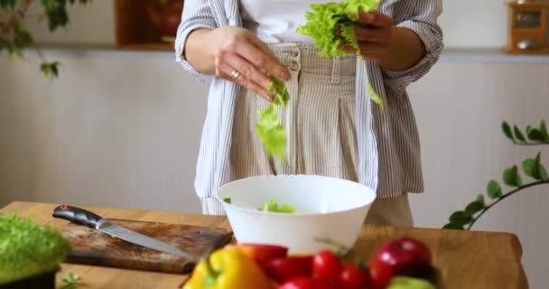 Woman Preparing Vegetable Salad Kitchen Tear Hand Leaf Salad White — Stock Video