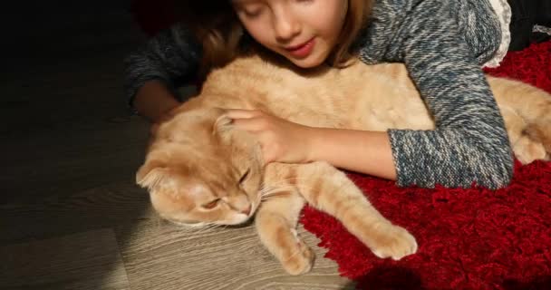快乐的小女孩一边抱着她的猫 一边微笑着爱抚她的猫 她躺在地板上晒太阳 一个带着猫的可爱孩子的画像 — 图库视频影像