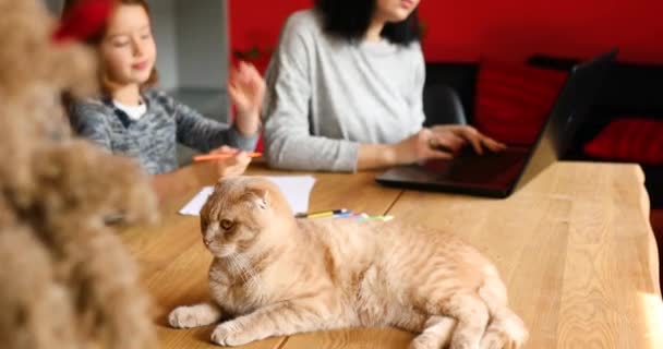 Madre Trabajando Oficina Casa Portátil Hija Sienta Lado Dibuja Gato — Vídeos de Stock