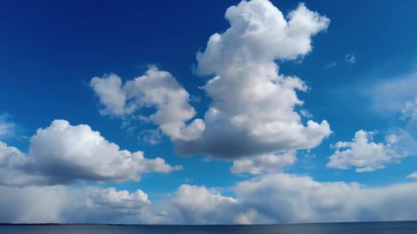 Weiße Wolken Fliegen Über Einen Strahlend Blauen Himmel Wolke Zeitraffer — Stockvideo