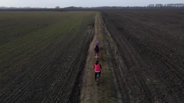 Повітряний Безпілотний Вид Зверху Сімейну Їзду Велосипедах Весняному Полі Сімейний — стокове відео