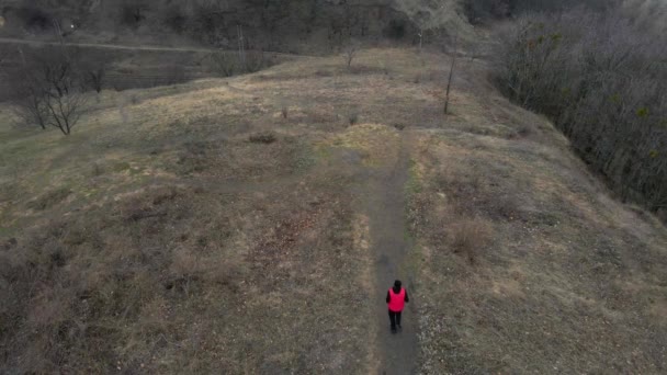 Αεροφωτογραφία Drone Athletic Man Red West Running Nature Υγιεινός Τρόπος — Αρχείο Βίντεο