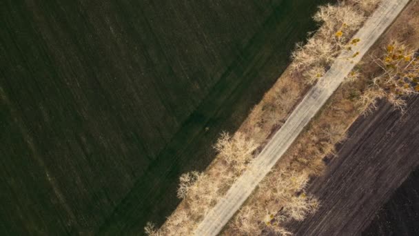 Εναέρια Drone Top View Πτήση Πάνω Από Έδαφος Γης Δρόμο — Αρχείο Βίντεο