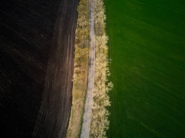 Aerial drone top view flight over ground land, road and green field, Top down view of agriculgure field, Rural life scene. Wallpaper pattern, Farm