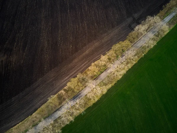 Vol Aérien Par Drone Dessus Sol Route Champ Vert Vue — Photo