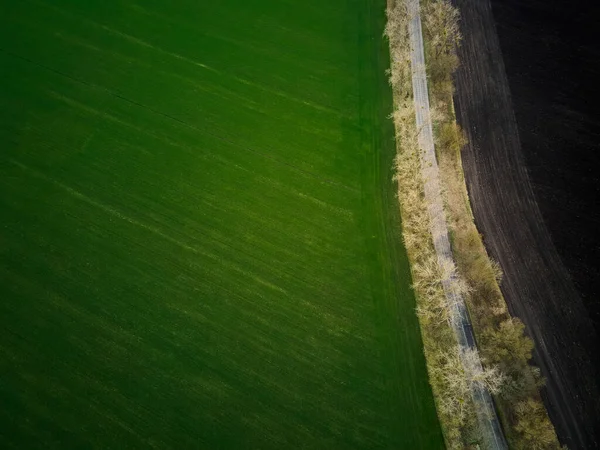 Aerial Drone Top View Flight Ground Land Road Green Field — Stock Photo, Image