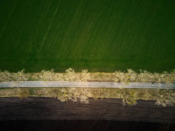 Drone Aéreo Vista Superior Voo Sobre Terra Estrada Campo Verde — Fotografia de Stock