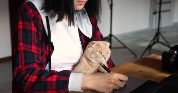 美しい猫の女性写真家 グラフィックドローイングタブレットとスタイラスペンを使用し デスクで作業し タブレットコンピュータ上のレタッチ写真 写真スタジオでのレタッチの職場ペット付きの自宅オフィス — ストック動画