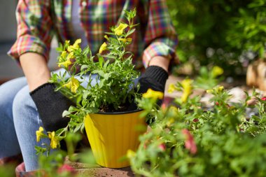 Çiçek saksısı aletleriyle bahçıvan yetiştiriyor. Kadın, evdeki, dışarıdaki yaz bahçesine çiçek ekiyor. Bahçe işleri ve çiçekler..