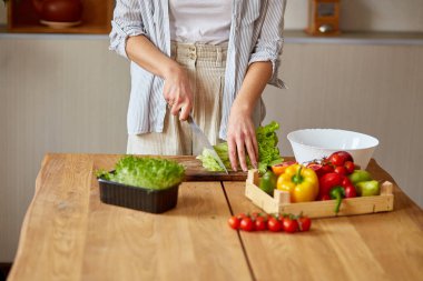 Kadın mutfakta sebze salatası hazırlıyor, tahta kesme tahtasında salata yaprağı kesiyor, sağlıklı gıda konsepti, vegan ya da diyet..