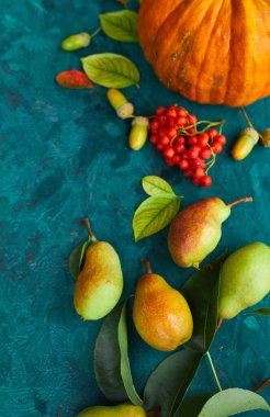 Balkabaklarından, armutlardan, yapraklardan, meşe palamutlarından ve meyvelerden oluşan şenlikli sonbahar dekoru yeşil arka planda, sonbahar düzlüğü, sonbahar kompozisyonu, hasat, Şükran Günü.