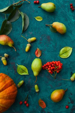 Balkabaklarından, armutlardan, yapraklardan, meşe palamutlarından ve meyvelerden oluşan şenlikli sonbahar dekoru yeşil arka planda, sonbahar düzlüğü, sonbahar kompozisyonu, hasat, Şükran Günü.