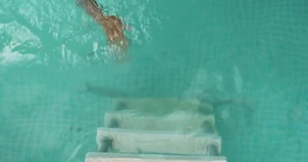 Un bambino sui gradini che esce dalla piscina, una bambina che si diverte in piscina, — Video Stock