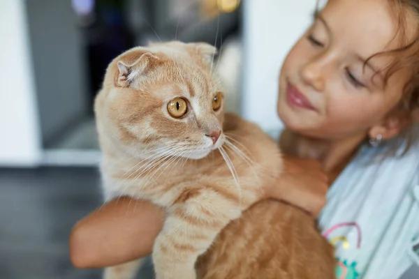 Kleines Mädchen Mit Katze Arm Hause Drinnen Kind Spielt Mit — Stockfoto