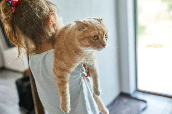 Niña Sosteniendo Gato Sus Brazos Casa Interior Niño Jugando Con —  Fotos de Stock