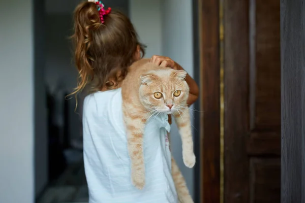 Niña Sosteniendo Gato Sus Brazos Casa Interior Niño Jugando Con —  Fotos de Stock