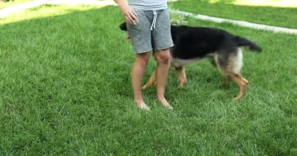 Feminino jogar com seu cão pastor alemão dia de verão em casa quintal — Vídeo de Stock