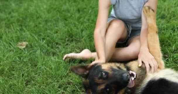 Самка бавиться зі своїм собакою Німецьким Пастирем влітку на задньому дворі. — стокове відео
