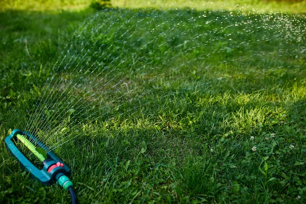 Oscylujący Zraszacz Ogrodowy Opryskujący Wodą Zieloną Trawę Podwórku Latem Lub — Zdjęcie stockowe