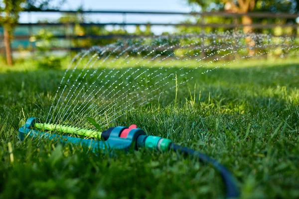 Aspersor Jardín Oscilante Rociando Agua Sobre Hierba Verde Patio Casa —  Fotos de Stock