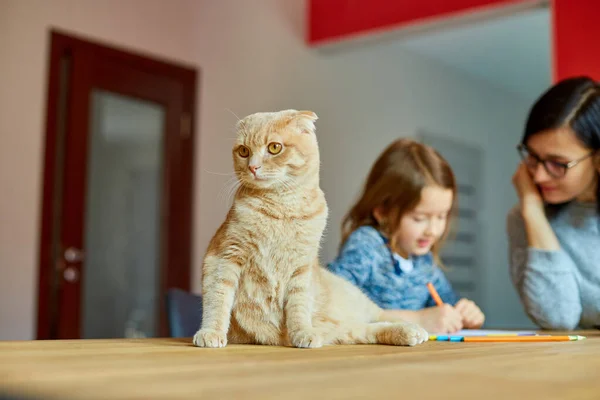 Matka Pracuje Své Kanceláři Notebooku Její Dcera Sedí Vedle Kreslí — Stock fotografie