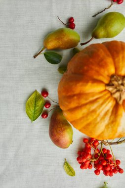 Balkabaklarından, armutlardan, yapraklardan, beyaz masa örtüsünde meşe palamudu, sonbahar düzlüğü, sonbahar kompozisyonu, hasat, Şükran Günü.