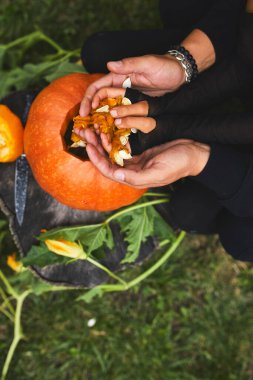 Cadılar Bayramı için oymadan önce kabaktan tohum ve lifli malzeme çıkaran kız ve baba elleri Jack O 'Lantern' i hazırlıyor. Parti için dekorasyon, Küçük aile yardımcısı, Üst Manzara, Kapat, Yukarıdan görünüm, Boşluğu kopyala