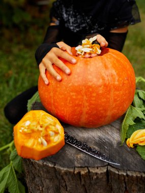 Cadılar Bayramı için oymadan önce balkabağından tohum ve lif parçaları çıkaran küçük çocuk eller Jack O 'Lantern' i hazırlıyor. Küçük aile yardımcısı, Üst Görünüm, Yukarıdan Görünüm, Boşluğu kopyala