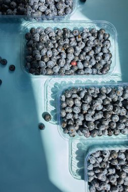 Mavi arka planda bir kutuda taze organik yaban mersinleri yatıyordu. Sert güneş ışığı, üst manzara, kopyalama alanı. Sağlıklı beslenme, antioksidan, vitamin, yaz yemeği kavramı.